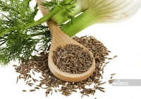 خواص بذر رازیانه