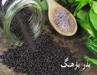 فواید بذر بارهنگ