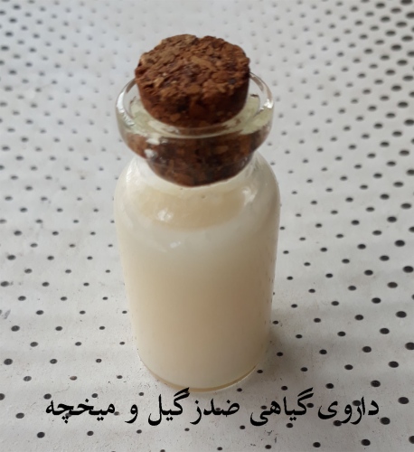 داروی گیاهی ضد زگیل و میخچه